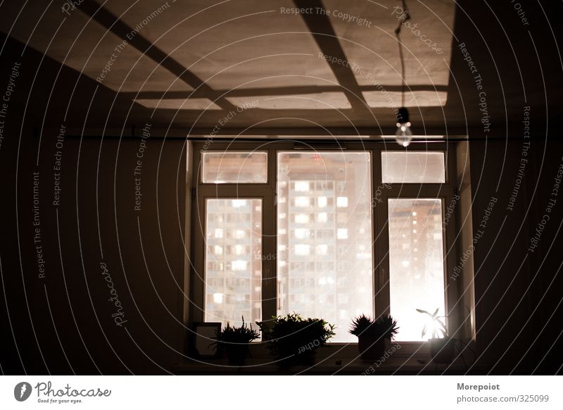 Light Small Town House (Residential Structure) Building Glass Brown Black White Window Lighting Lighting element Colour photo Interior shot Deserted