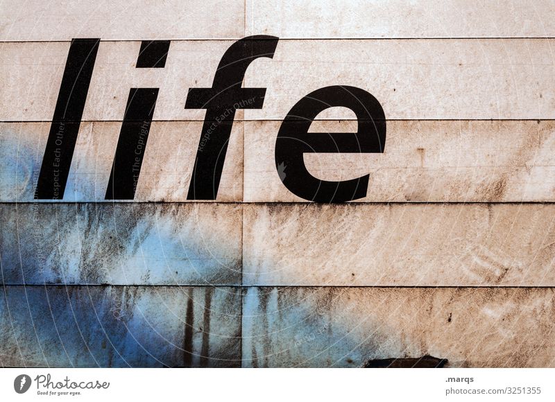 alive Characters Life Resume Typography Text Word Letters (alphabet) Lifestyle reality soiling communication path of life Joie de vivre (Vitality) Future