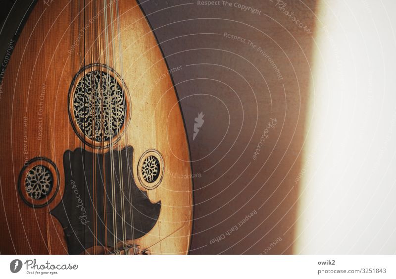 taqsim Music ring Arabic Lute oud Near and Middle East Wall (building) wood Metal Plastic Exotic Glittering Serene Patient Calm Idyll Lean Sound Peaceful
