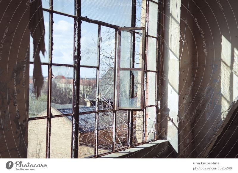 apartment with view Environment forest Lausitz forest Outskirts House (Residential Structure) Ruin Building Window Old Dirty Broken Town Decline Past Transience