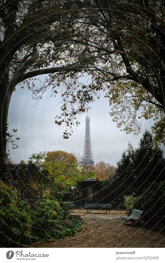 ...and then I saw the Eiffel Tower Tourism City trip Autumn Work of art Architecture Paris France Capital city Landmark Park Park bench Tree Discover Looking