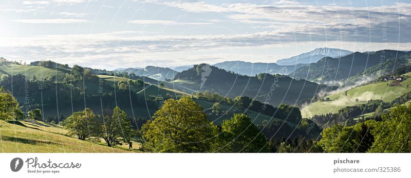 lookout Landscape Beautiful weather Tree Meadow Hill Mountain Natural Austria Mostviertel Colour photo Exterior shot Morning Deep depth of field Panorama (View)