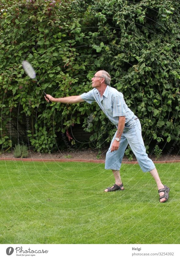 male senior plays badminton in the garden in summer Leisure and hobbies Playing Shuttlecock badminton rackets Fitness Sports Training Badminton Human being