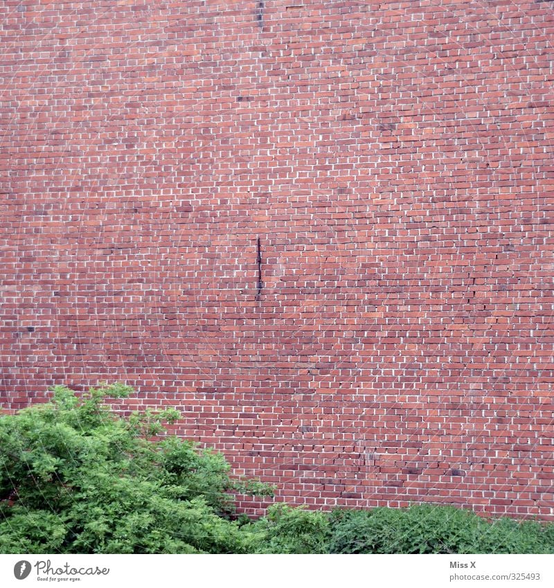 wall Factory Wall (barrier) Wall (building) Facade Red Brick Brick wall Brick-built house Bushes Colour photo Exterior shot Pattern Deserted Copy Space top
