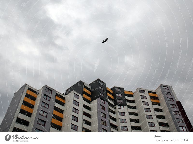 observation flight Sky Clouds Storm clouds Wind Hannover Downtown High-rise Manmade structures Architecture Facade Balcony Window Roof Flying Esthetic Dark