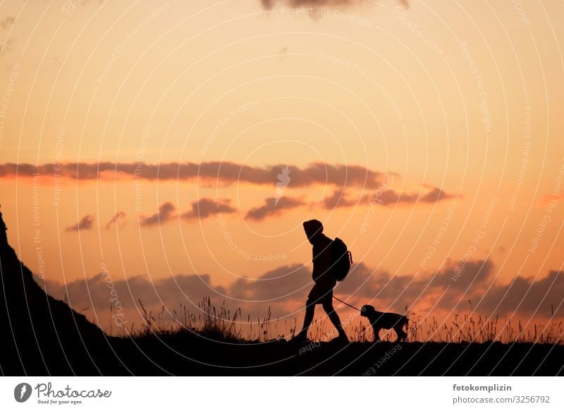 Hiker with dog at sunset Love of animals Man and dog Friendship dog love Humans and animals Animal and human dog training two Animal Communication in common