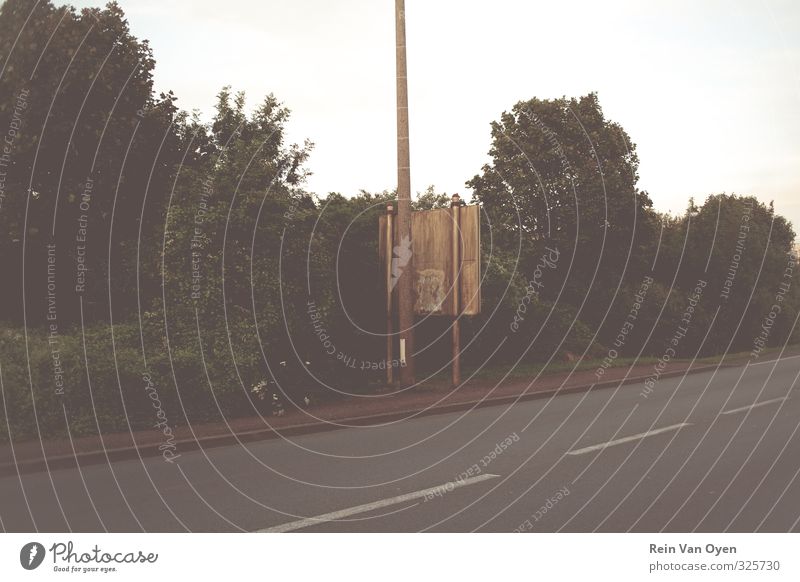 Roadsign Road traffic Highway Road sign Sadness Bushes Street Backward Colour photo Subdued colour Exterior shot Deserted Copy Space middle Dawn Day Evening