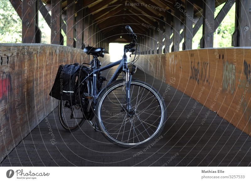 Bicycle with panniers in wooden bridge Beautiful weather hut Transport Passenger traffic Cycling Metal Vacation & Travel Blue Brown green Town bike excursion