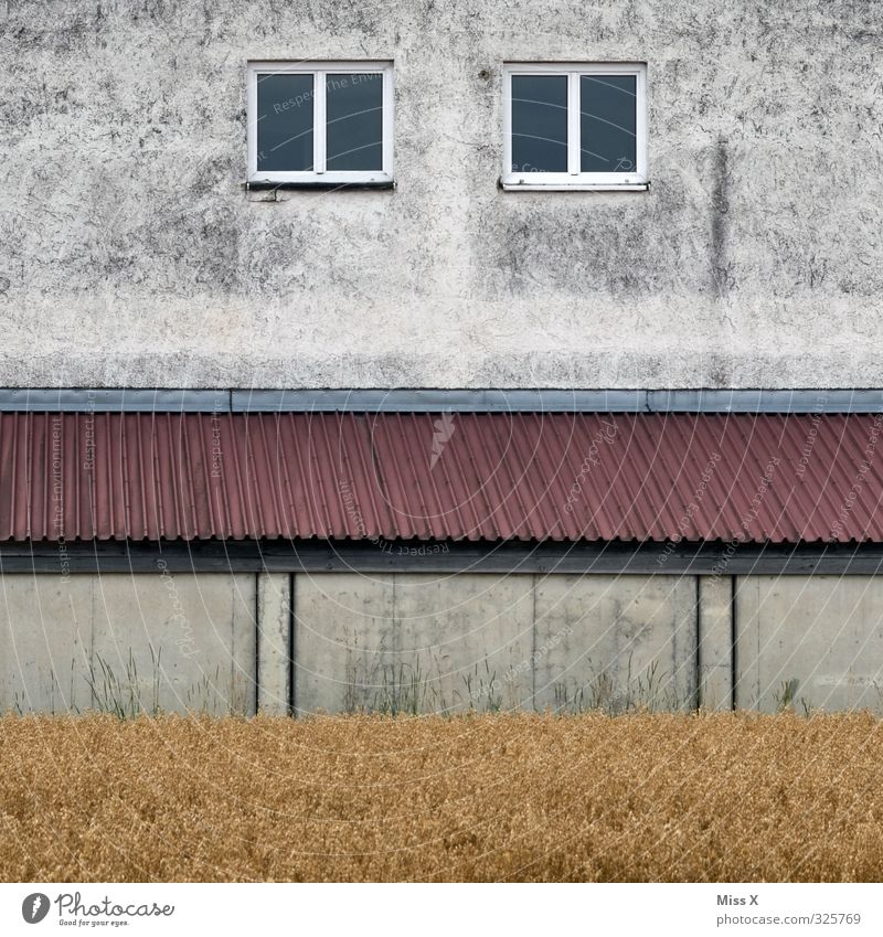 House I Redecorate Field Outskirts Deserted Wall (barrier) Wall (building) Window Old Decline Transience Car Window Roof Gloomy Colour photo