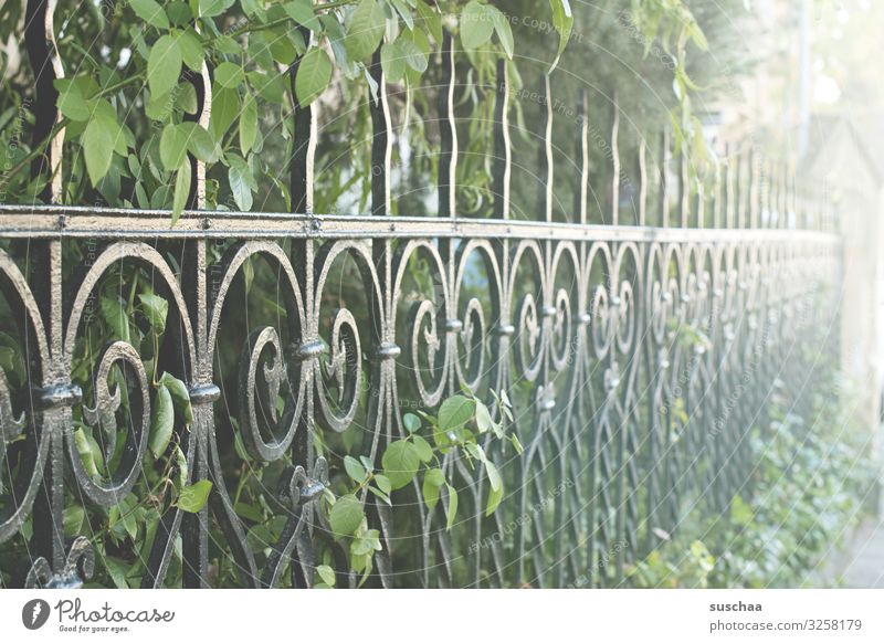 posh fenced Perspective Metalware Garden fence iron fence park fence Historic Elegant Rich Fence Possessions Protection Rescue Real estate Wrought iron Rustic