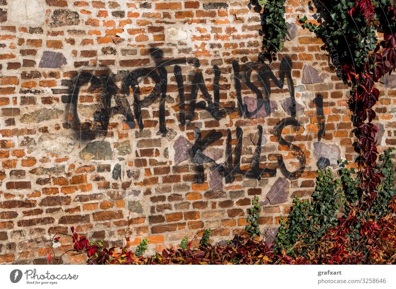 Capitalism Kills Graffiti On Brick Wall With Ivy art artwork brick business capitalism capitalism kills city criticism daub economic economy environment