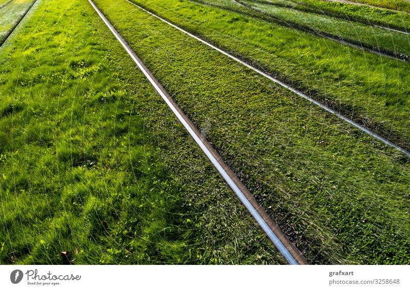 Shiny Steel Rails Through Green Grass Meadow background cargo city concept detail development direction ecological ecology environment environmental protection