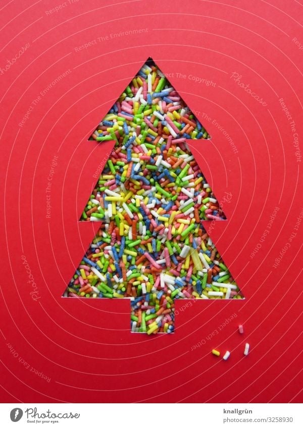 Christmas tree Characters Signs and labeling Multicoloured Red Emotions Happiness Curiosity Colour Joy Moody Desire Coulored sugar candy Christmas & Advent