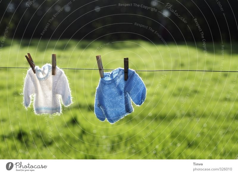 2 small knitted sweaters on clothesline Beautiful weather Garden Meadow Sweater Dry Blue Green White Knitted sweater Clothing baby clothes Baby Twin Handcrafts
