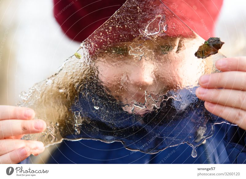 Holding the winter in your hands Adventure Winter Child Girl 1 Human being 3 - 8 years Infancy Ice Frost Cold Near Blue Red White Joy Ice floe Freeze Looking