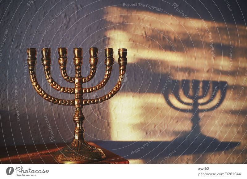 enlightenment Collector's item Menorah-im Metal Illuminate Stand Glittering Identity Religion and faith Tradition Israel Shadow play Wall (building)