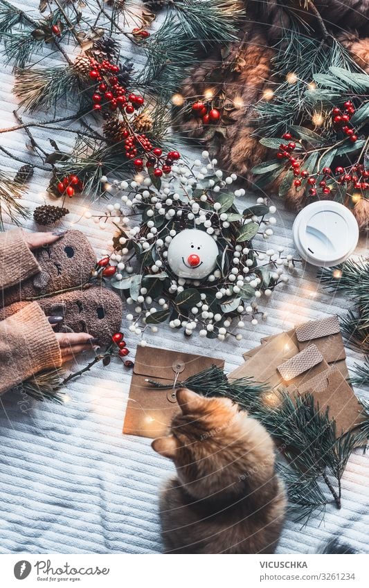 Winter mood and Christmas gift preparation Lifestyle Style Joy Living or residing Christmas & Advent Woman Adults Hand Pet Cat Decoration Candle Bow