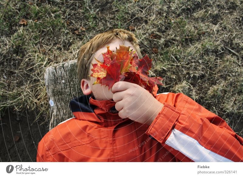 autumn Masculine Child Boy (child) Youth (Young adults) Hand 1 Human being 8 - 13 years Infancy Nature Autumn Leaf Multicoloured Red Hide Lie Sleep To hibernate