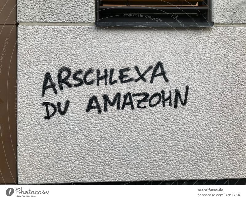 Graffit on the wall: Arschlexa du Amazohn Concrete Sign Characters Graffiti Listening Write Creepy Brown Black White Emotions Safety Protection Love Dangerous