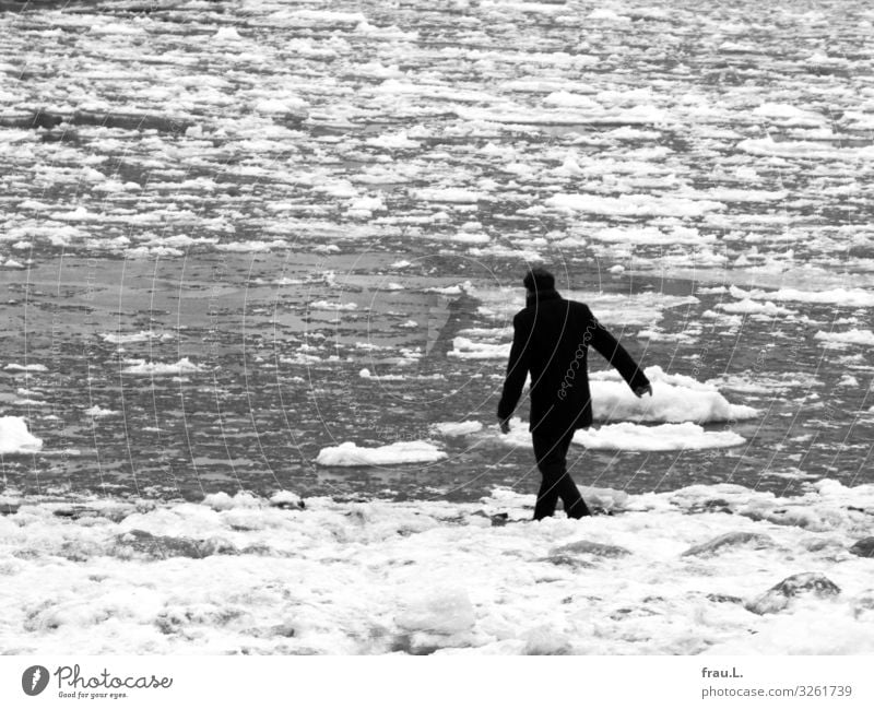 ice cream cream Trip Winter Human being Man Adults 1 45 - 60 years Nature Water Bad weather Ice Frost River bank Hamburg Jacket Black-haired Curl Going Cold