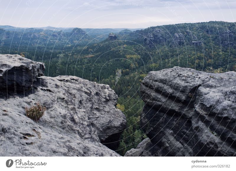 Saxon Switzerland Vacation & Travel Tourism Trip Adventure Far-off places Freedom Mountain Hiking Environment Nature Landscape Summer Forest Rock Uniqueness