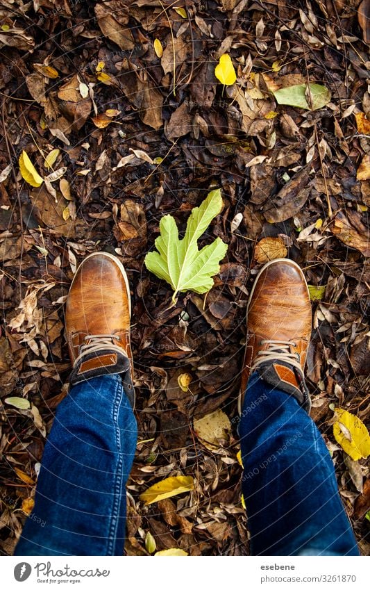 Feet in fallen leaves Lifestyle Style Hiking Human being Woman Adults Man Nature Autumn Leaf Park Forest Fashion Jeans Footwear Boots Sneakers Natural Brown