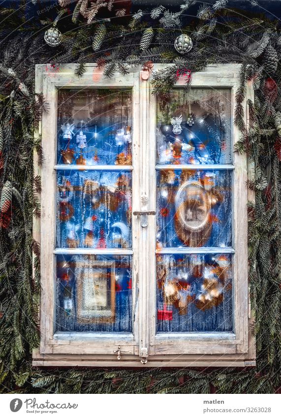 Merry Christmas Window Glittering Kitsch Blue Brown Green Red White Christmas & Advent Fir branch Adorned Wooden window Christmas decoration Cone Exterior shot