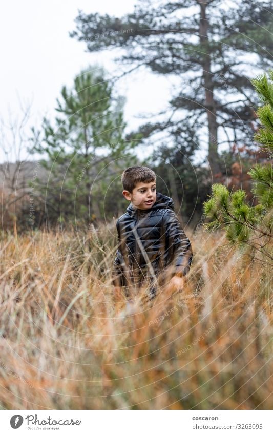 Cute little boy in the forest on a foggy day Lifestyle Beautiful Relaxation Vacation & Travel Winter Mountain Hiking Child Human being Masculine Baby Toddler