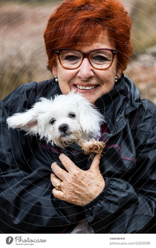 Elderly woman protecting a dirty and wet puppy from the cold Lifestyle Style Joy Happy Face Summer Feminine Woman Adults Female senior Friendship Senior citizen