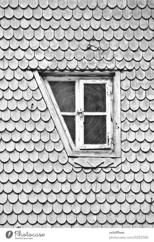 Lost the corner. House (Residential Structure) Roof Exceptional Uniqueness Gray Car Window Window pane Window transom and mullion Glazed facade Window frame