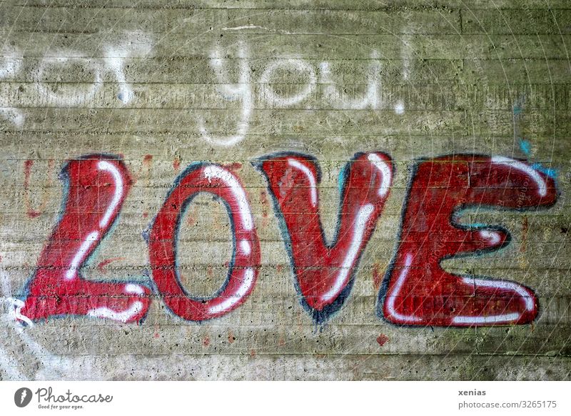 Love for you Wall (barrier) Wall (building) Stone Characters Graffiti Write Blue Red White Bans Cement Colour photo Exterior shot Deserted Copy Space bottom