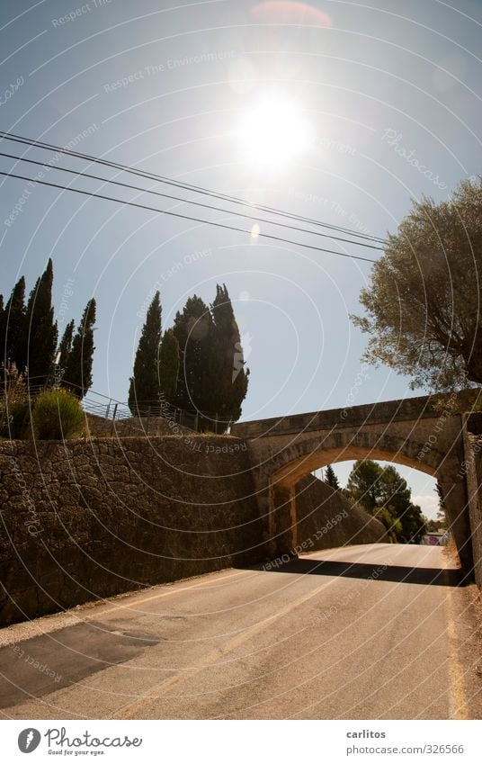 On Google's tracks Beautiful weather Old Street Bridge Wall (barrier) Natural stone Tilt Cable Tree Mediterranean Majorca Vacation & Travel Tunnel vision
