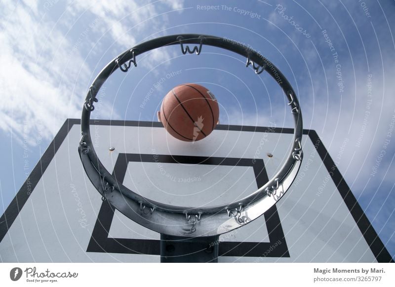 The ball and the basketball net Sports Ball Basketball middle sport Playing Colour photo