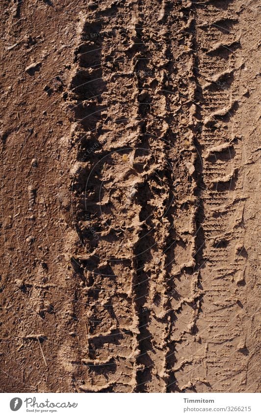 Brown - tire marks on dirt road Colour Earth Tracks Skid marks Profile Dry Imprint Tire tread Deserted Lanes & trails Light Shadow