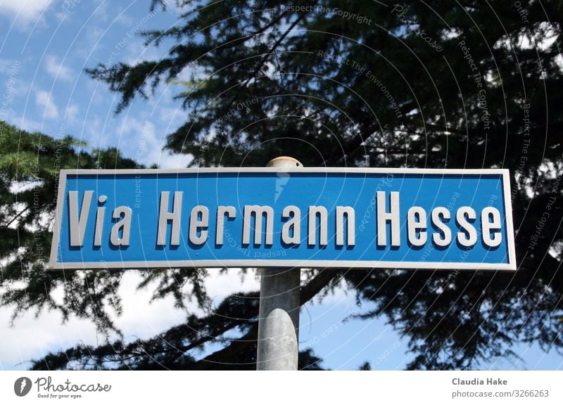 Via Hermmann Hesse Metal Sign Signs and labeling Signage Warning sign Famousness Sharp-edged Blue Gray Silver Via Hermann Hesse Montagnola writing