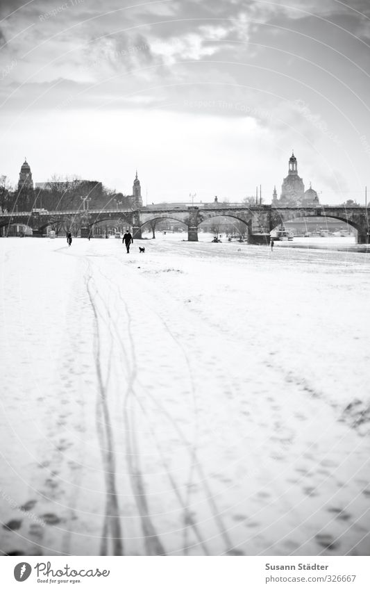 Sunday stroll Landscape Clouds Winter Beautiful weather Snowfall Meadow Old town Skyline Church Places Serene Bridge Dresden Frauenkirche Tracks Snow track