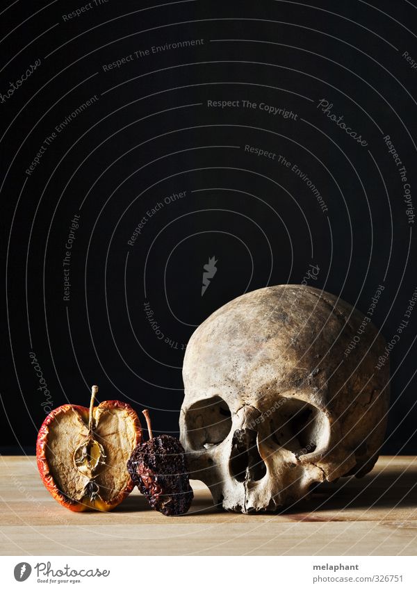 Everything has an end. Apple Senior citizen Head Death's head Art Painter Painting and drawing (object) Baroque Skeleton Old Creepy Gloomy Red Black