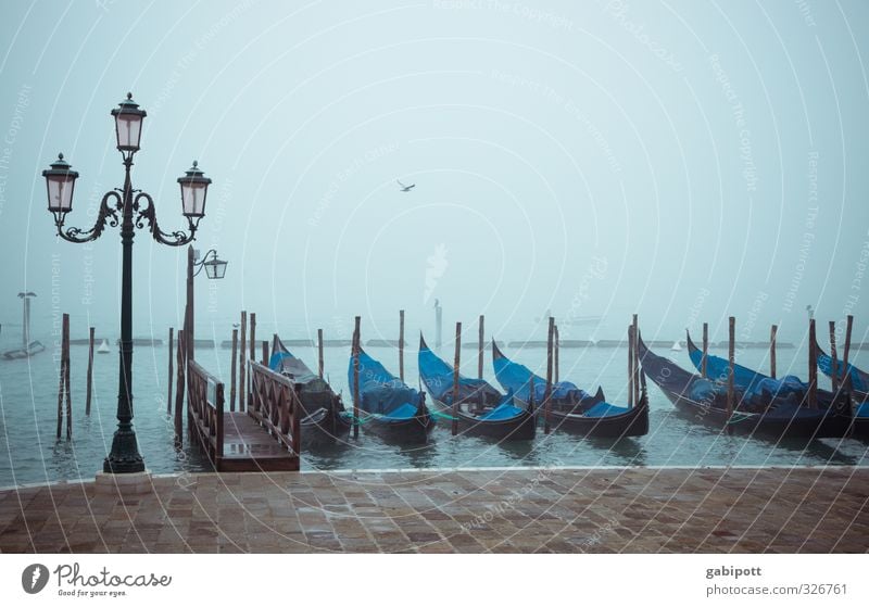 Venice | Theme Day Fog Rain Italy Town Port City Downtown Old town Marketplace Tourist Attraction Means of transport Gondola (Boat) Blue Longing Wanderlust