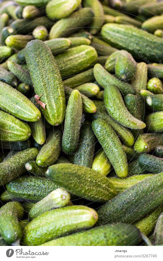 cucumbers Food Vegetable Gherkin Nutrition Farmer's market Organic produce Fresh Healthy Many Delicious Colour photo Exterior shot Close-up Deserted