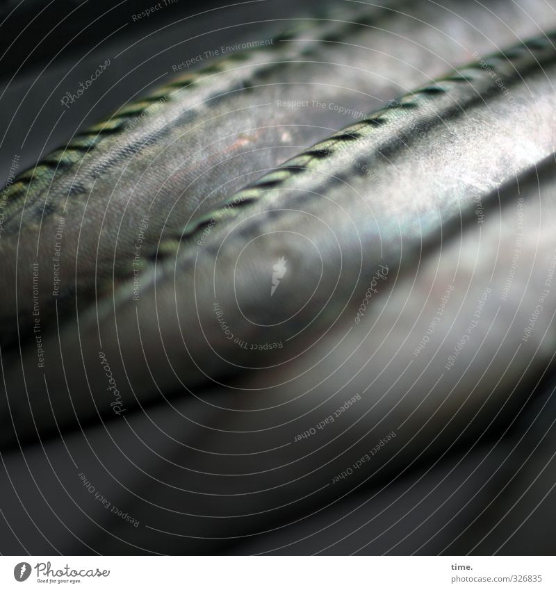 Watermark | Involuntary shore leave Food Fish Nutrition Scales Trout 3 Animal Lie Dark Naked Death Equal Arrangement Transience Change Colour photo