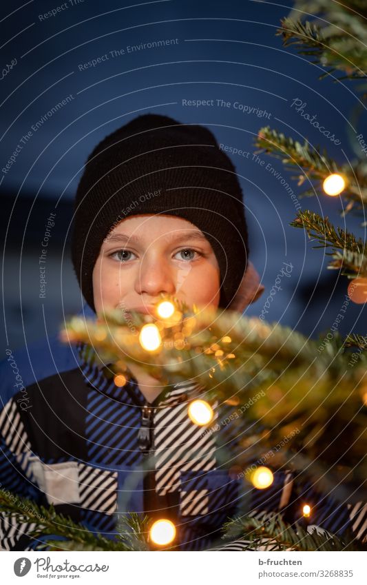 Child behind Christmas tree with lights Lifestyle Shopping Elegant Style Leisure and hobbies Feasts & Celebrations Christmas & Advent Face 1 Human being