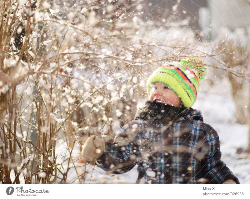 winter Playing Children's game Human being Toddler Infancy 1 1 - 3 years 3 - 8 years Winter Snow Snowfall Cap Smiling Laughter Cold Cute Emotions Moody Joy