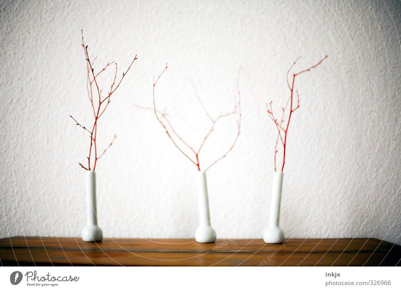 Drought Deco Living or residing Decoration Table Wallpaper Room Autumn Branch Twigs and branches Deserted Wall (barrier) Wall (building) Vase Thin Gloomy Dry