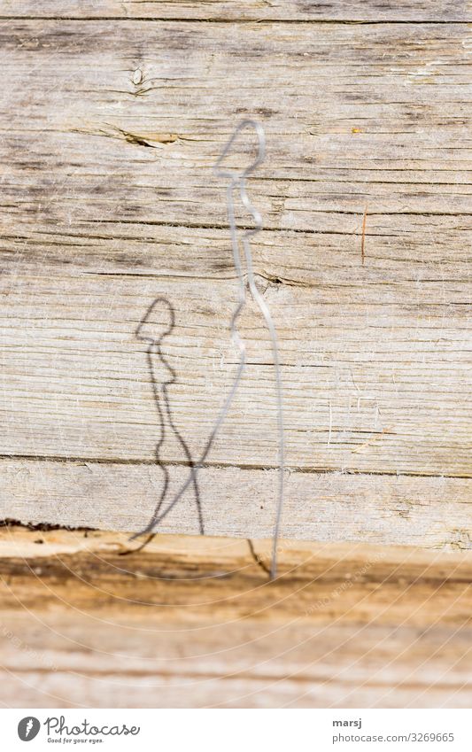 Gently rounded, the wire figure enjoys the sun and casts a shadow Silhouette Shadow Light Experimental Subdued colour Colour photo Stick figure Emotions