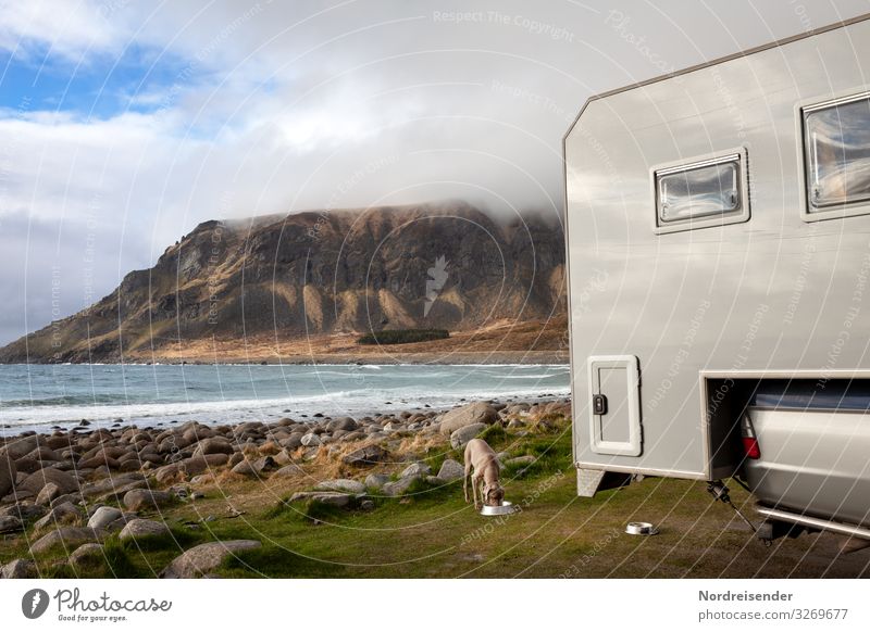 Camping on the Lofoten Islands Adventure Freedom Ocean Nature Landscape Elements Water Clouds Beautiful weather Meadow Rock Mountain Coast Fjord Vehicle