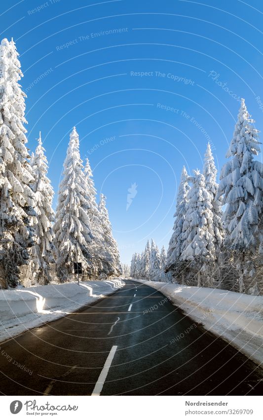 Road through the snowy Thuringian Forest Vacation & Travel Tourism Trip Winter Snow Winter vacation Nature Landscape Cloudless sky Beautiful weather Ice Frost