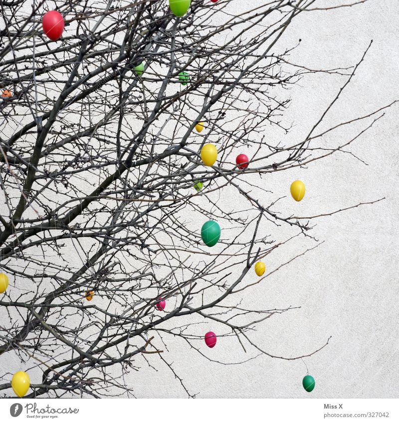 Easter Spring Tree Bushes Hang Multicoloured Easter egg Decoration Branch Twig Colour photo Exterior shot Pattern Deserted Copy Space right