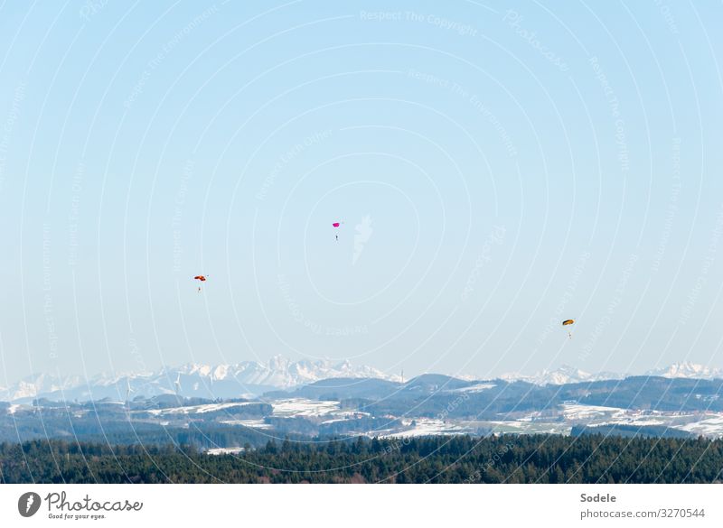 springtime Leisure and hobbies Freedom Snow Mountain Sports Flying sports Paragliding Human being 3 Landscape Cloudless sky Spring Beautiful weather Forest Alps