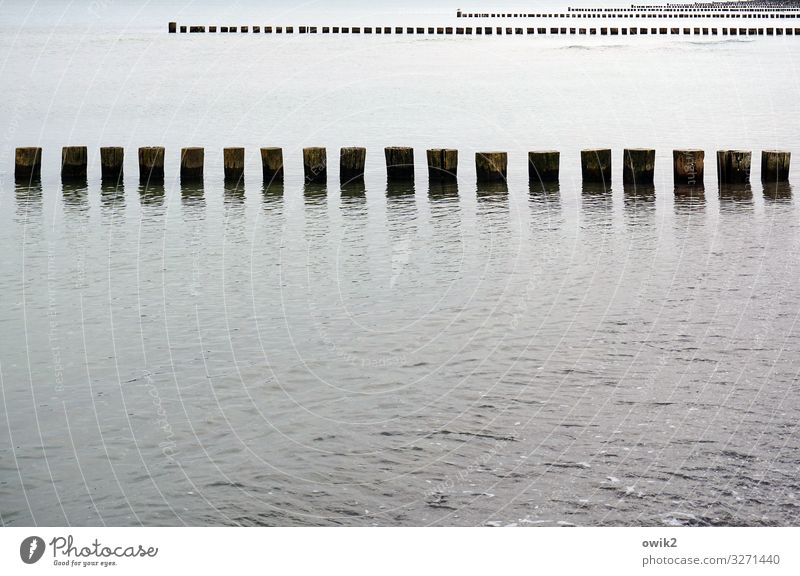 principle of equality Environment Nature Landscape Water Beautiful weather Coast Baltic Sea Break water Wooden stake Many Identity Arrangement Row