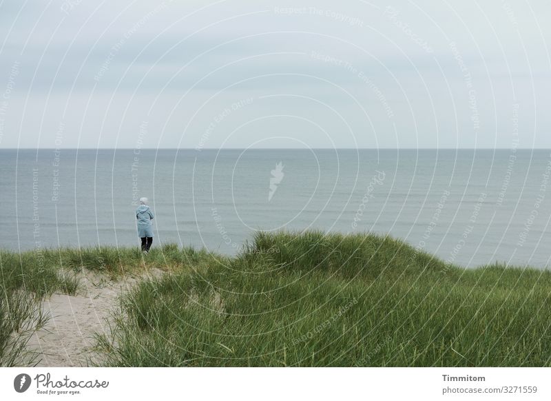 close to nature | enjoy the moment Nature Woman Looking North Sea duene Marram grass Sky Horizon Denmark Water Ocean Clouds Sand Landscape North Sea coast